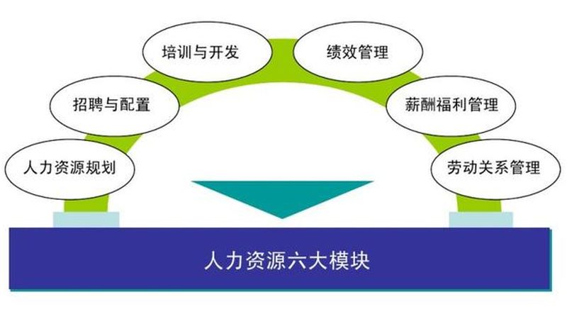 合同签订：人力资源公司合作的关键一环**